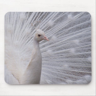 Tapis De Souris Peacock blanc