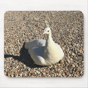 Tapis De Souris Peacock Blanc, Idaho