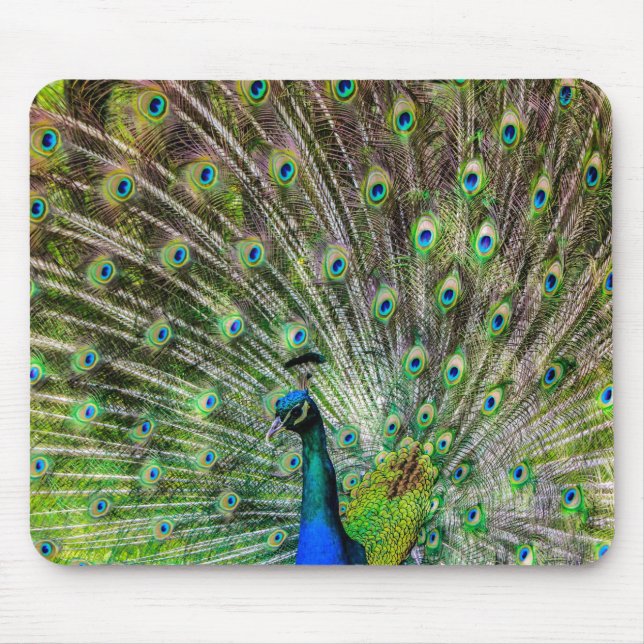 Tapis De Souris Peacock étonnant et plumes accessoires photo (Devant)