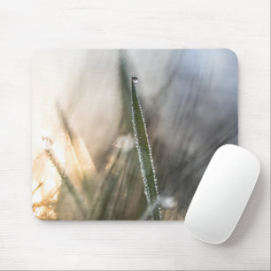 Tapis De Souris Pearls of Dew on Grass