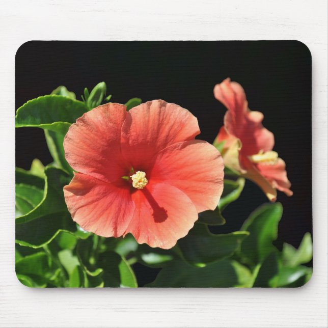Tapis De Souris Pêche Hibiscus Floral (Devant)