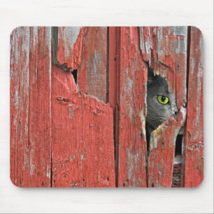 Tapis De Souris Peeping Tom Chat