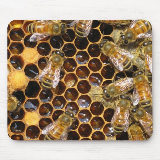 Tapis De Souris Peigne et abeilles Mousepad (Devant)