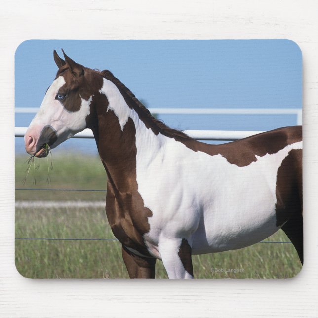 Tapis De Souris Peignez la position de cheval (Devant)