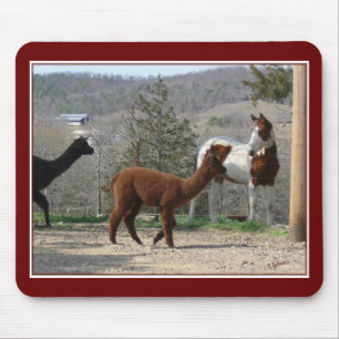 Tapis De Souris Peignez l'alpaga Mousepad de cheval