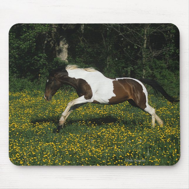 Tapis De Souris Peignez le cheval fonctionnant dans le domaine des (Devant)