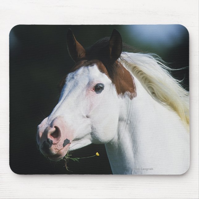 Tapis De Souris Peignez le Headshot 3 de cheval (Devant)