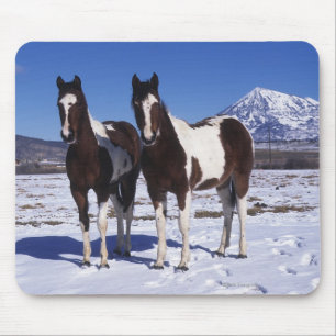 Tapis De Souris Peignez les chevaux se tenant dans la neige