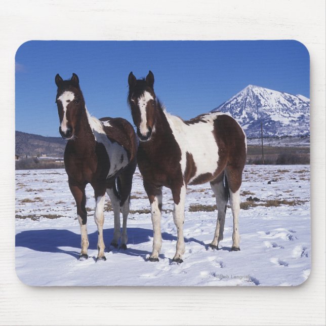 Tapis De Souris Peignez les chevaux se tenant dans la neige (Devant)