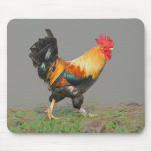 Tapis De Souris Peinture colorée sur le coq