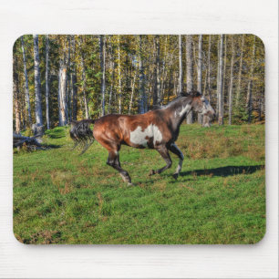 Tapis De Souris Peinture de canotage Stallion & Forêt Equine Photo