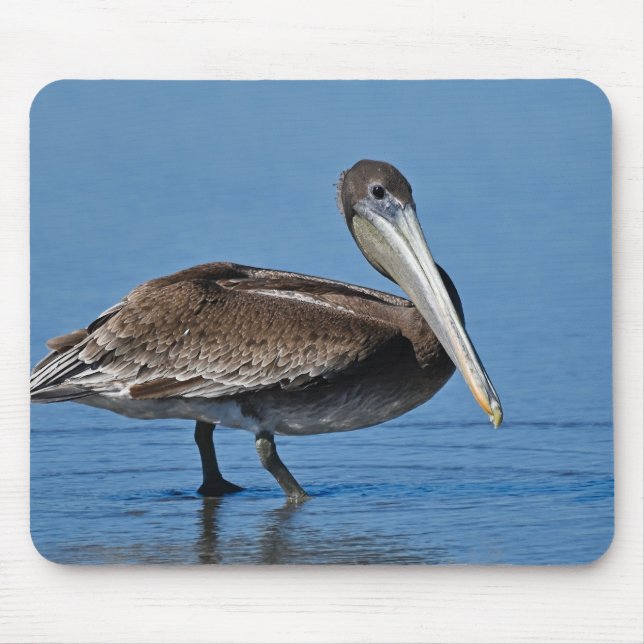 Tapis De Souris pélican brun, pélican, oiseau (Devant)