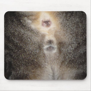 Tapis De Souris Pensée à vous chat Mousepad