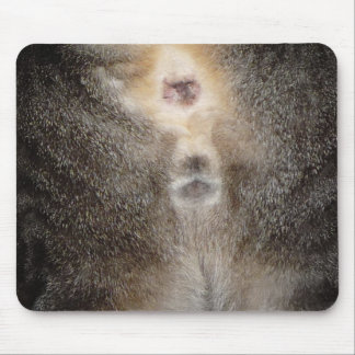 Tapis De Souris Pensée à vous chat Mousepad