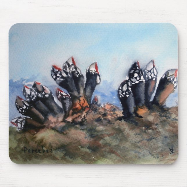 Tapis De Souris Percebes/Barnacles (Devant)
