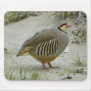 Tapis De Souris Perdrix de Chukar