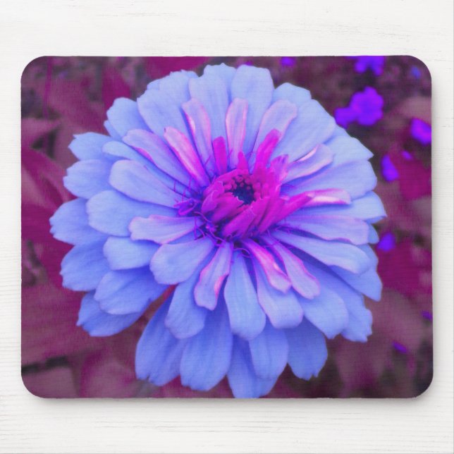 Tapis De Souris Périwinkle en rose Zinnia Mousepad (Devant)
