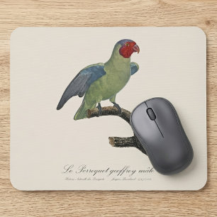 Tapis De Souris Perroquet à joues rouges mâle, Geoffroyus geoffroy