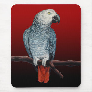 Tapis De Souris Perroquet Art Mousepad Cadeaux de perroquet gris a