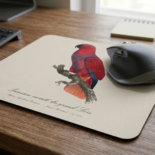 Tapis De Souris Perroquet éclectus de Vosmaer, Eclectus Roratus Vo
