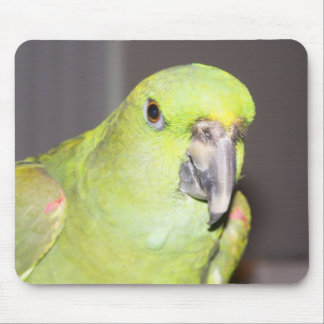 Tapis De Souris Perroquet Jaune-Naped Mousepad d'Amazone