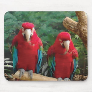 Tapis De Souris Perroquets rouges