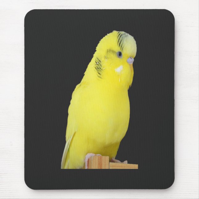 Tapis De Souris perruche jaune mignonne (Devant)