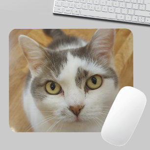 Tapis de souris personnalisé avec photo de compagn