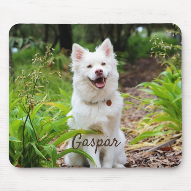 Tapis De Souris Pet Photo et nom Personalized (Devant)