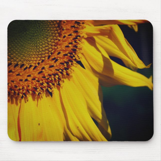 Tapis De Souris Pétales De Tournesol Gros Plan (Devant)