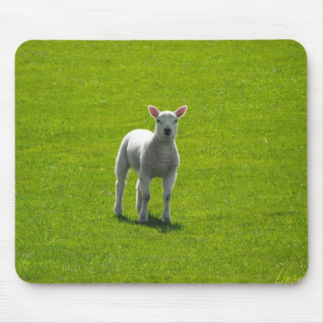 Tapis De Souris Petit agneau (Devant)