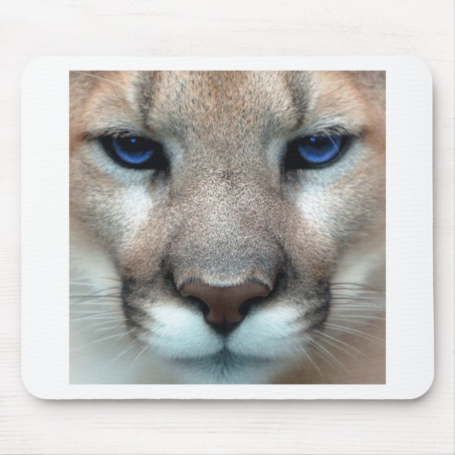 Tapis De Souris Petit animal de puma (Devant)