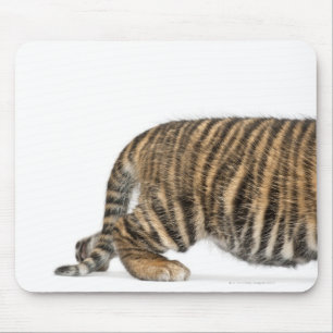 Tapis De Souris Petit animal de tigre de Sumatran 2