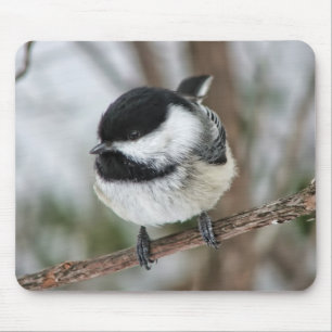 Tapis De Souris Petit Chickadee mignon