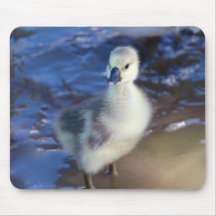 Petit Gosling Mousepad