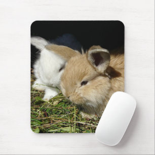 Tapis De Souris Petit lapin moelleux