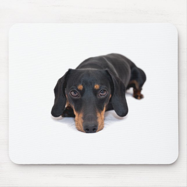 Tapis De Souris Petit teckel (Devant)