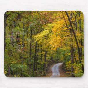 Tapis De Souris Petite route de gravier bordée de couleurs d'autom