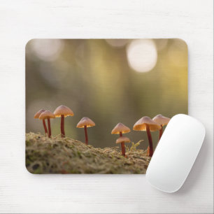 Tapis De Souris Petits champignons Photo nature
