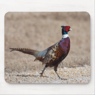 Tapis De Souris Pheasant à crayon