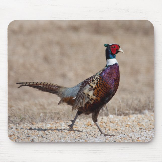 Tapis De Souris Pheasant à crayon (Devant)