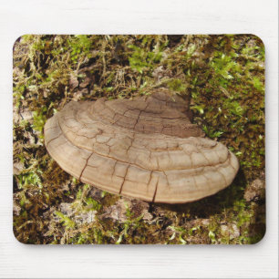Tapis De Souris Phellinus igniarius Mushroom Mouse Mat