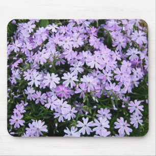 Tapis De Souris Phlox assez pourpre