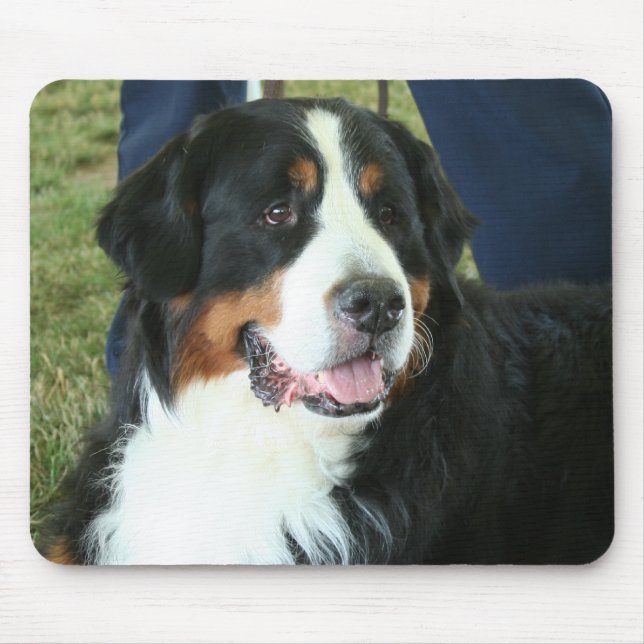 Tapis De Souris Photo bernoise Mountain Dog (Devant)