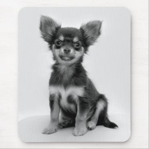 Tapis De Souris Photo Chihuahua noir et blanc
