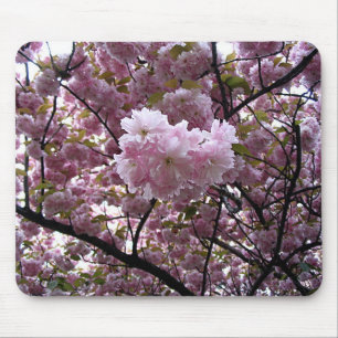 Tapis De Souris Photo d'arbre de fleurs de cerisier rose