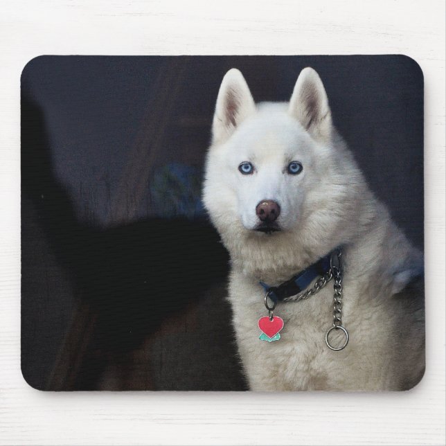 Tapis De Souris Photo de chien de traîneau sibérien (Devant)