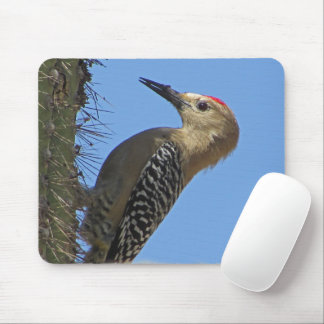 Tapis De Souris Photo de faune de Pic de Gila Cactus Désert