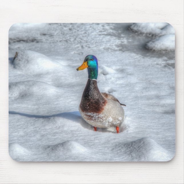 Tapis De Souris Photo de la faune de Mallard Duck Birlover (Devant)