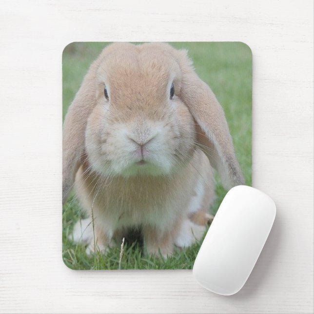 Tapis De Souris photo de lapin grave (Avec souris)